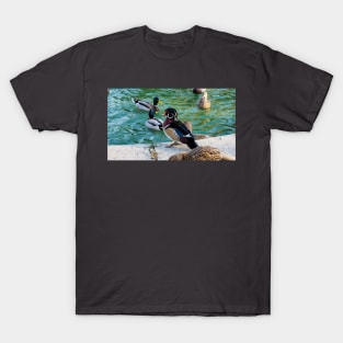 A Wood Duck At My Local Pond T-Shirt